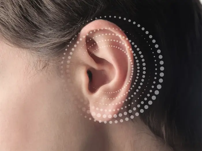 Detalhe de uma orelha com os pontos da auriculoterapia mapeados em espiral